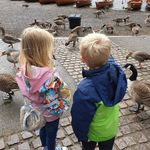 Tom Agnew - @tomagnew - Instagram
