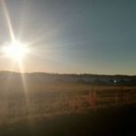 Tom Agnew - @agnewtom - Instagram