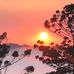 Tom Ahern - Facebook