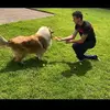 Tom Ahern - @user94337154 - TikTok