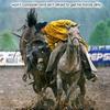 Tommy_ainsworth - @rodeopreacher72 - TikTok