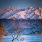 Tom Albert - @tomalbert84 - Instagram