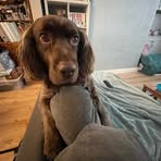 Tom Abbott - Facebook
