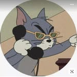 @tom_all_in_daliy - Instagram