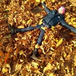 Tom_Apeldoorn - @tom_apeldoorn - Instagram