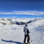 Tom - @tom.apelfeld - Instagram