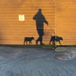 Tom Appel - @tom.appel.351 - Instagram
