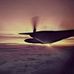 Tom Archer - Facebook