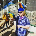 Tom Arkins - @a7ko5 - Instagram