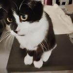 Tom Aubin - @aubintom3 - Instagram