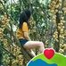 Bahri Tome - Facebook