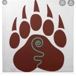 Tom Bair - @bair_of_the_northwoods - Instagram
