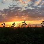 Tom Bakker - @tomb_akker - Instagram