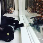 Tom - @tom_bakker__ - Instagram