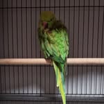 Tom Bannister - @spiderrat03 - Instagram