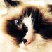 Tom Bannister - Facebook