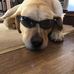Tom Bannister - Facebook