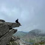 Tom Bannister - @tom_banni - Instagram