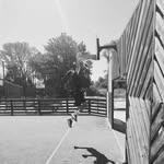 Tom - @tom.barth15 - Instagram