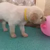 tom.barth - @tom.barth8 - TikTok