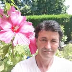 Tom Bauer - @speedule - Instagram