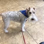 Tom Bauer - @tom.bauer.92102 - Instagram