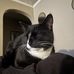 Tom Bayer - Facebook