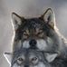 Tom Bayer - Facebook
