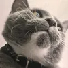Tom Beckett - @tom.beckettt - TikTok