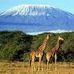 Tom Beevers climbs Mt Kilimanjaro for Childreach International - Facebook