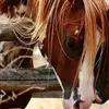 Tommy Begay - @tommybegay - TikTok