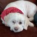 Tom Behnke - Facebook