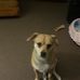 Tom Beil - Facebook