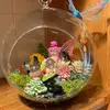 tomilabenefield - @tomilabenefield - TikTok