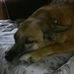 Tom Benfield - Facebook