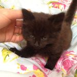 Tom Benfield 😺😸 - @tom_benfield0898 - Instagram