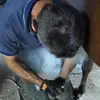 tom_bertrand73 - @tombertrand74 - TikTok