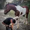 Tom Bertrand - @tom.bertrand87 - TikTok