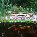 Tom Beyer - @tom.beyer.796 - Instagram
