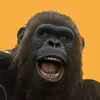 TomBigbeeFoot - @tombigbeefoot - TikTok