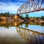 tombigbee.waterfowl - @tombigbee.waterfowl - Instagram