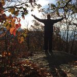Tom Billings - @tbillings4767 - Instagram