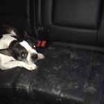 Tom Billings - @tomb1959 - Instagram