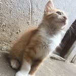Tom Bills - @safadaor7 - Instagram
