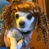 tomsbills - @tomsbills - TikTok