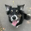 Tom Birmingham - @tombirmingham1 - TikTok