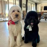 Tom Blanton - @tomcblanton - Instagram