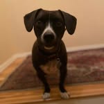 Tom Blatz - @tomblatz1 - Instagram