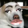 Tom Blessing - @tomblessing00 - TikTok