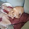 Tom Blessing - @tom.blessing1 - TikTok